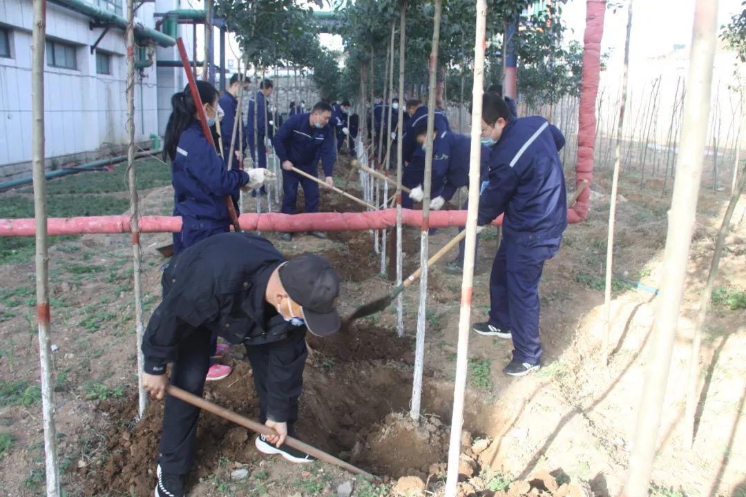 常州沖床送料機(jī)廠植樹