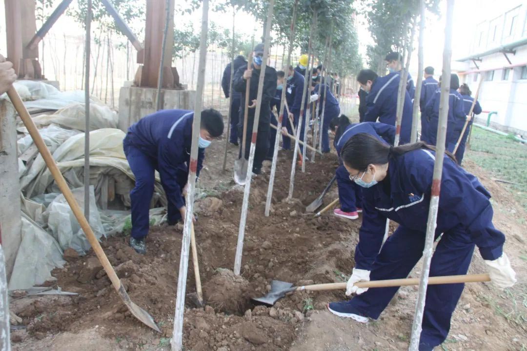 沖床送料機(jī)綠色廠區(qū)